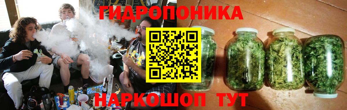 Бошки марихуана конопля  Канабис THC 21%  Бошки Шишки сатива  Нововоронеж  Вход с VPN 